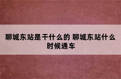 聊城东站是干什么的 聊城东站什么时候通车